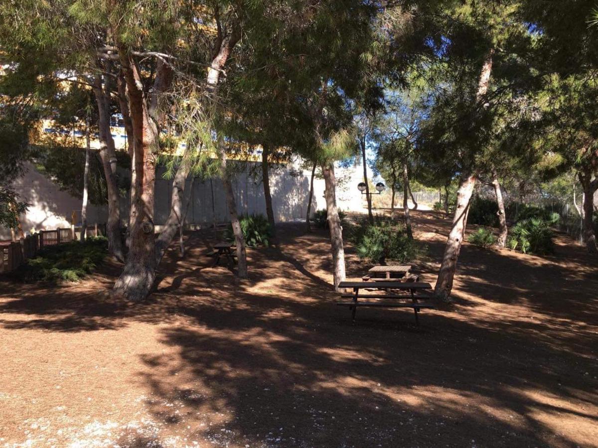 Appartement Perla Apartamento à Orihuela Extérieur photo